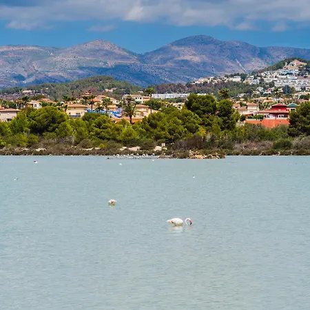 Costablancadreams Olga In